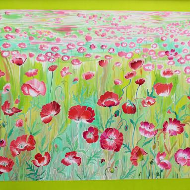 Champ de coquelicots